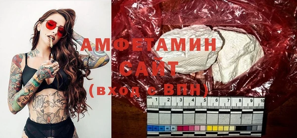 шишки Сатка