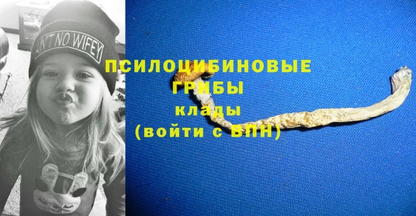 apvp Сафоново
