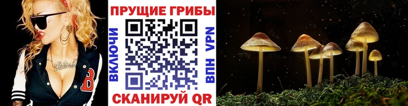 Галлюциногенные грибы GOLDEN TEACHER  KRAKEN маркетплейс  Пущино  сколько стоит 