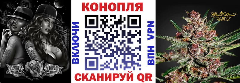MEGA ССЫЛКА  наркота  Пущино  Марихуана ГИДРОПОН 